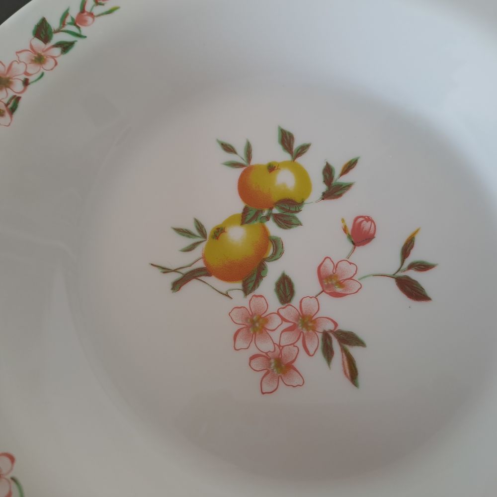 6 assiettes creuses Arcopal motif pommes et fleurs de pommie Cuisine