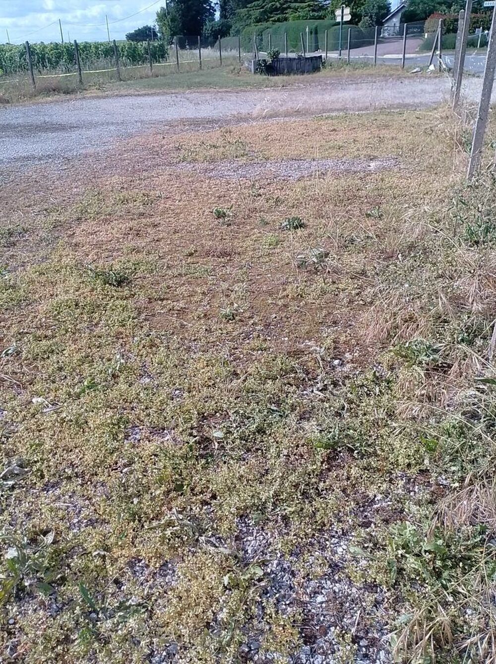 Vente Terrain terrain Hiersac
