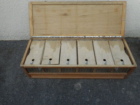 Cage de transport pour petits animaux 70 50140 Mortain