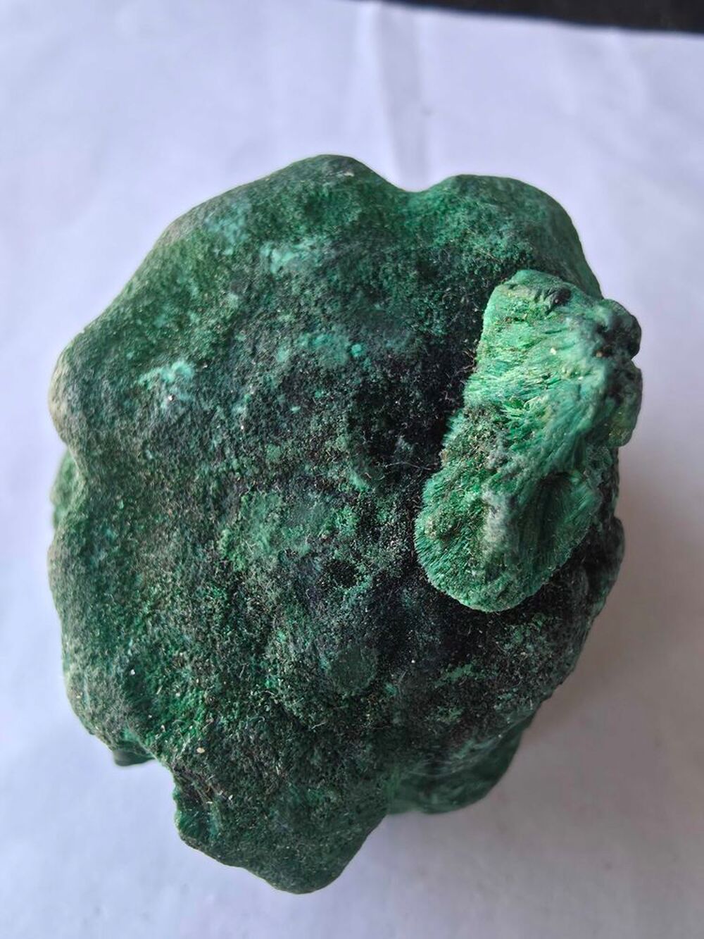 Rare Malachite Fibreuse Velout&eacute;e Katanga RDC-Collection 193g 
