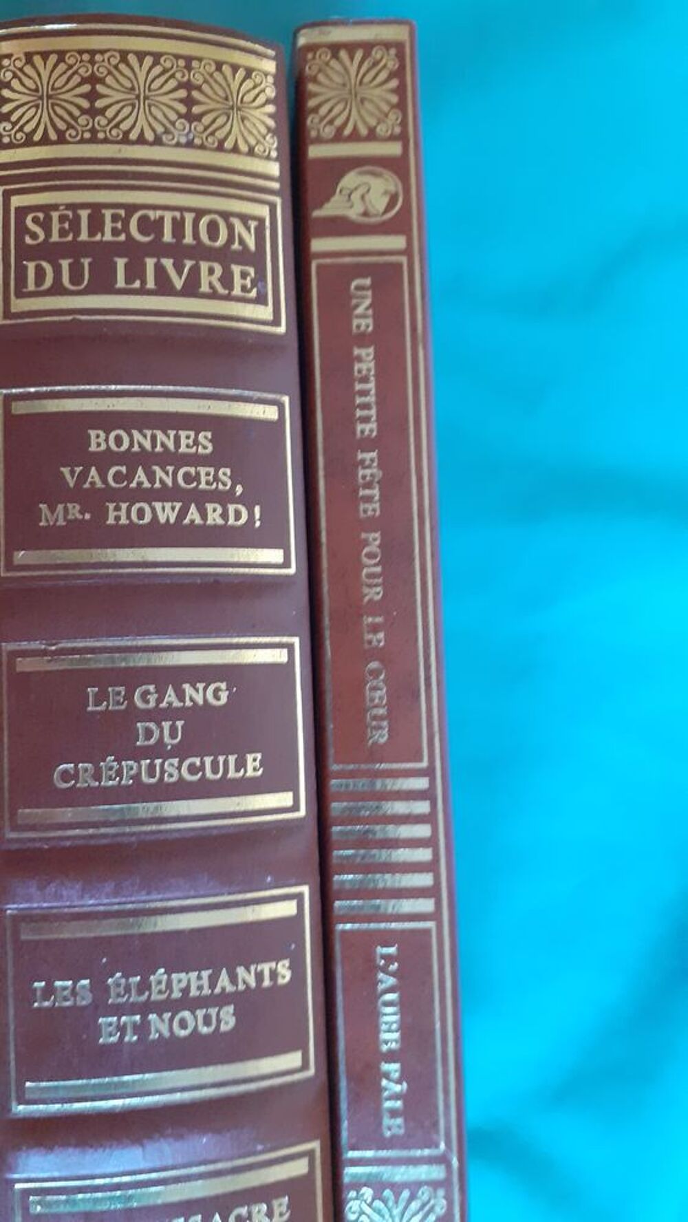 Lot de 10 livres reli&eacute;s Livres et BD