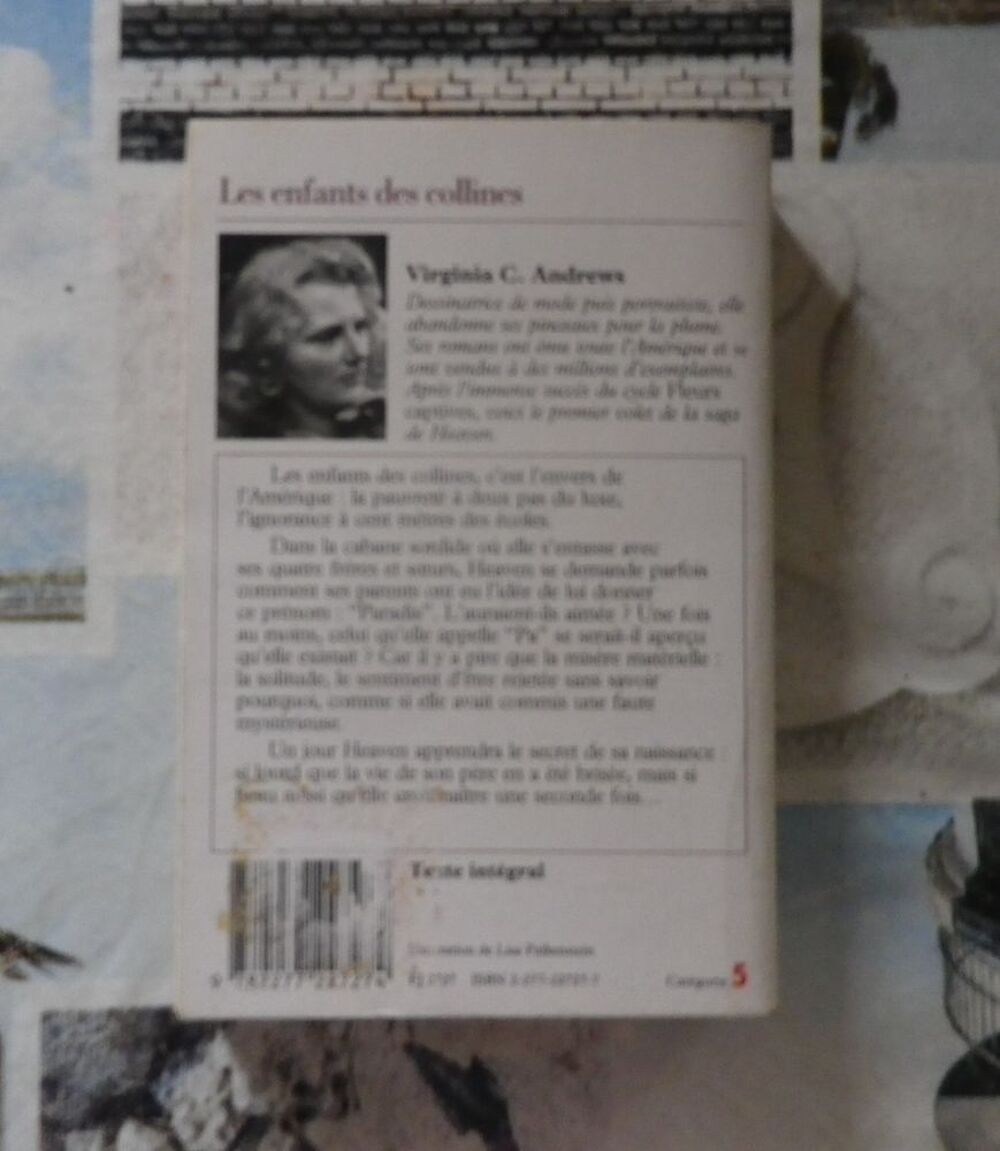 LES ENFANTS DES COLLINES T1 Saga de HEAVEN V. C. ANDREWS Livres et BD