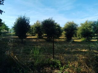  Terrain � vendre 3065 m�