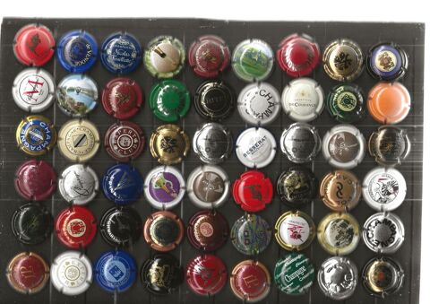 Lot de 170 capsules de champagnes differents 25 Castel-Sarrazin (40)