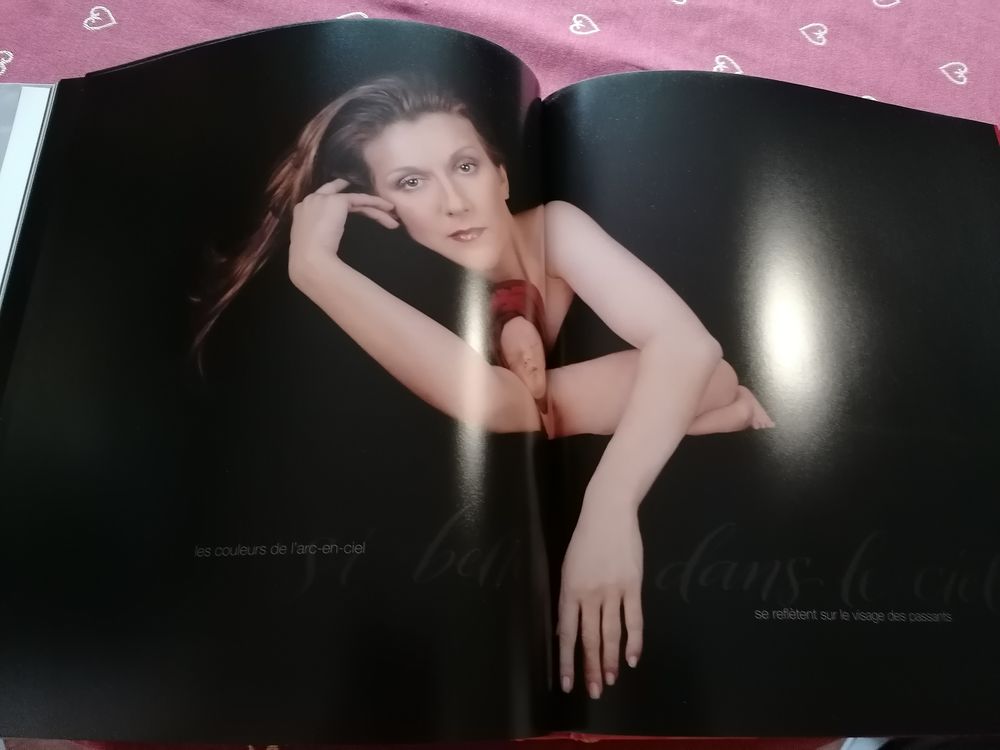Livre +CD+DVD C&eacute;line Dion Photos/Video/TV