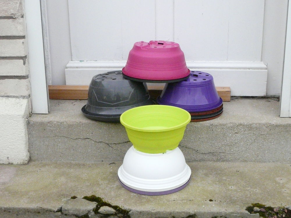 10 coupes rondes + 1 gratuite Jardin