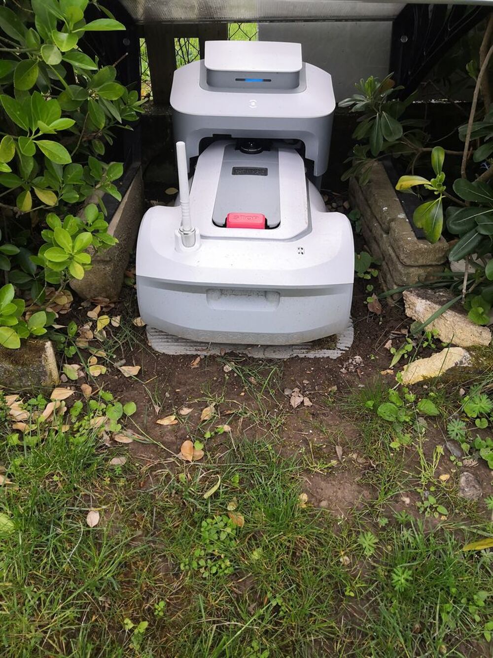 robot tondeur pelouse Jardin