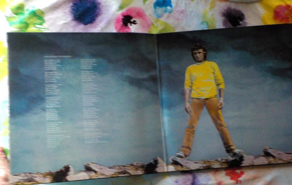 VYNIL 33T MICHEL SARDOU Album "LES LACS DU CONNEMARA" CD et vinyles