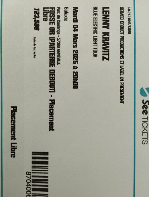 Concert Lenny Kravitz 120 Challans (85)