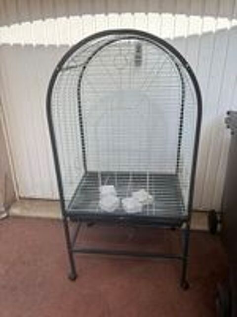   Cage perroquet  