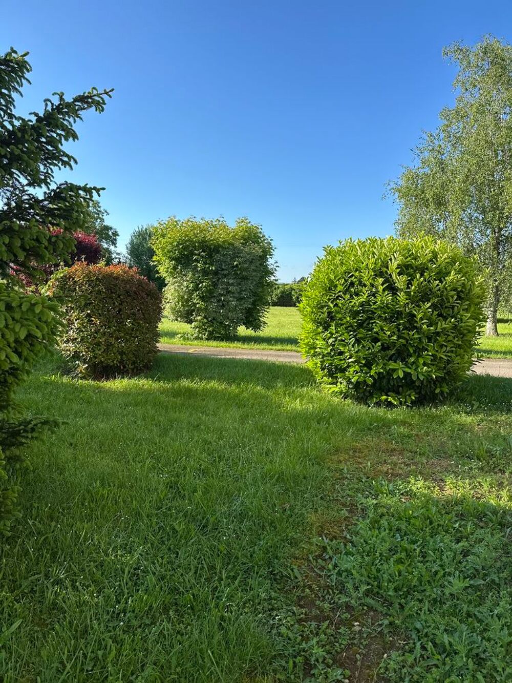 Vente Terrain Prissé 4 parcelles de 1000m2 constructible bien situe Prissé