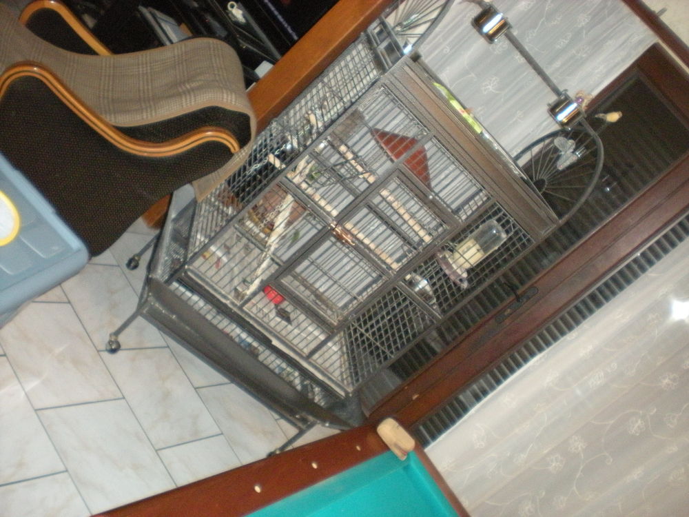 cage oiseau "CAESAR" pour PERROQUETprix neuf: 225 euros Meubles