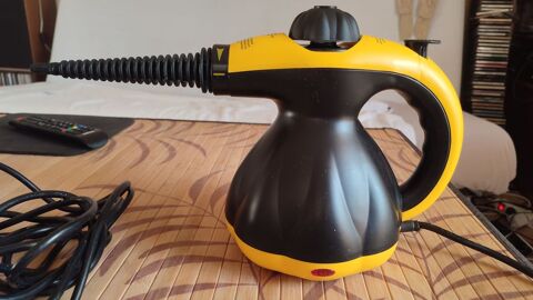 Nettoyeur vapeur 25 Cugnaux (31)