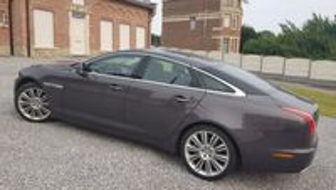 XJ V6 3.0 - 275 Diesel Luxe Empattement Court A 2010 occasion 59100 Roubaix