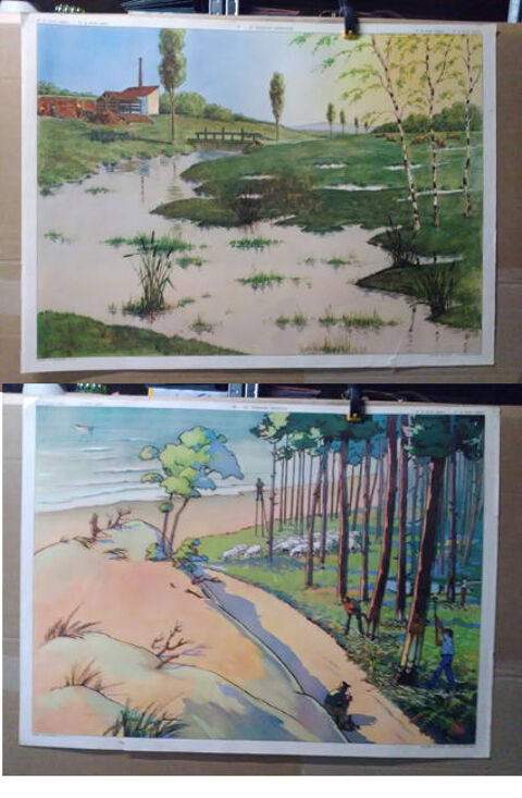 Affiches scolaires double face 10 Blaye (33)