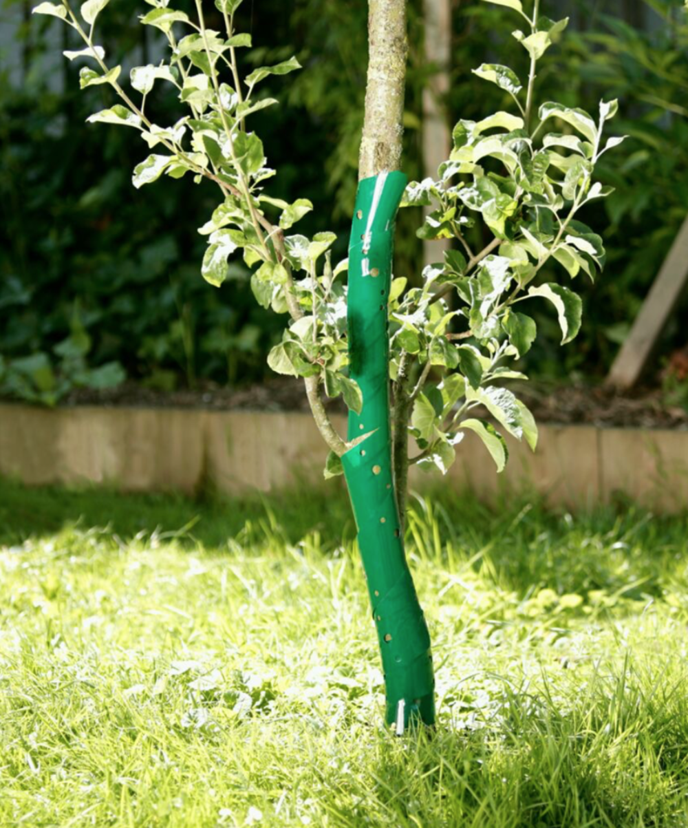 SPIRALE DE PROTECTION POUR TRONC Jardin