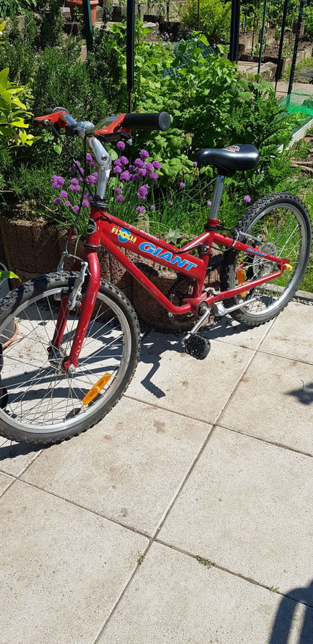 VTT enfant marque Giant &agrave; saisir Vélos