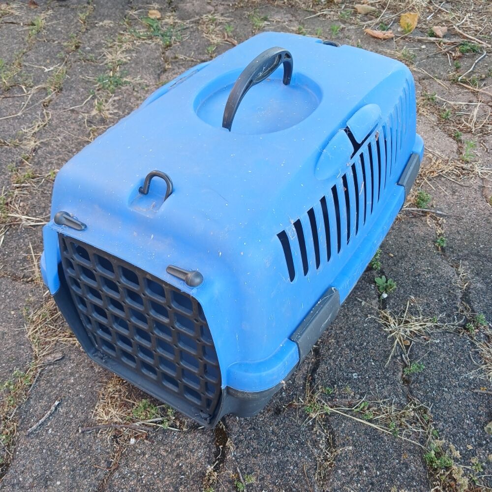 caisse de transport pour animal Bricolage