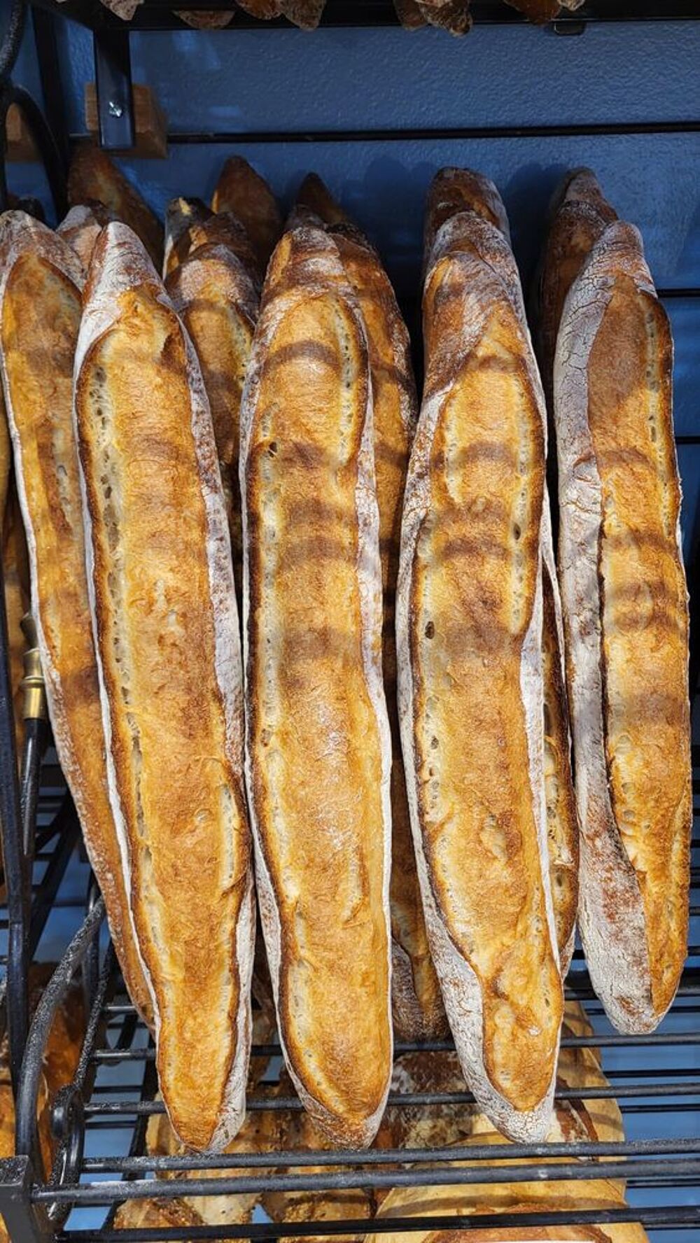   BOULANGERIE avec logement proche Océan Dax