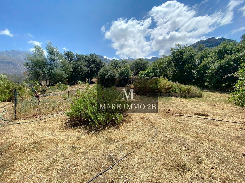 Vente Terrain terrain constructible Calvi