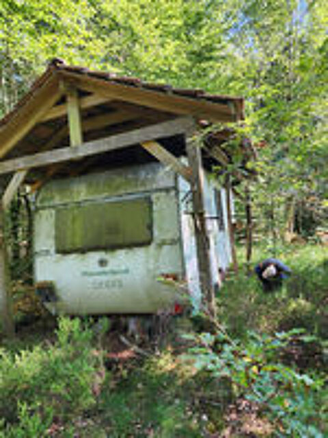   Entretien de l'Habitat et des Espaces verts 
