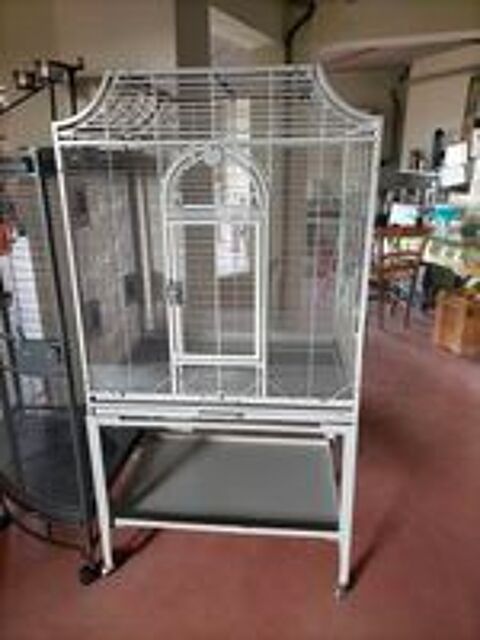   Cage pour oiseaux, perruches canaris 