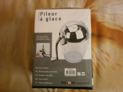 pileur de glace 10 Saint-Agnant (17)