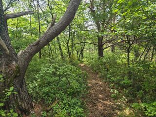  Terrain � vendre 15500 m�