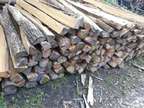 pieux en acacias 3 Montargis (45)