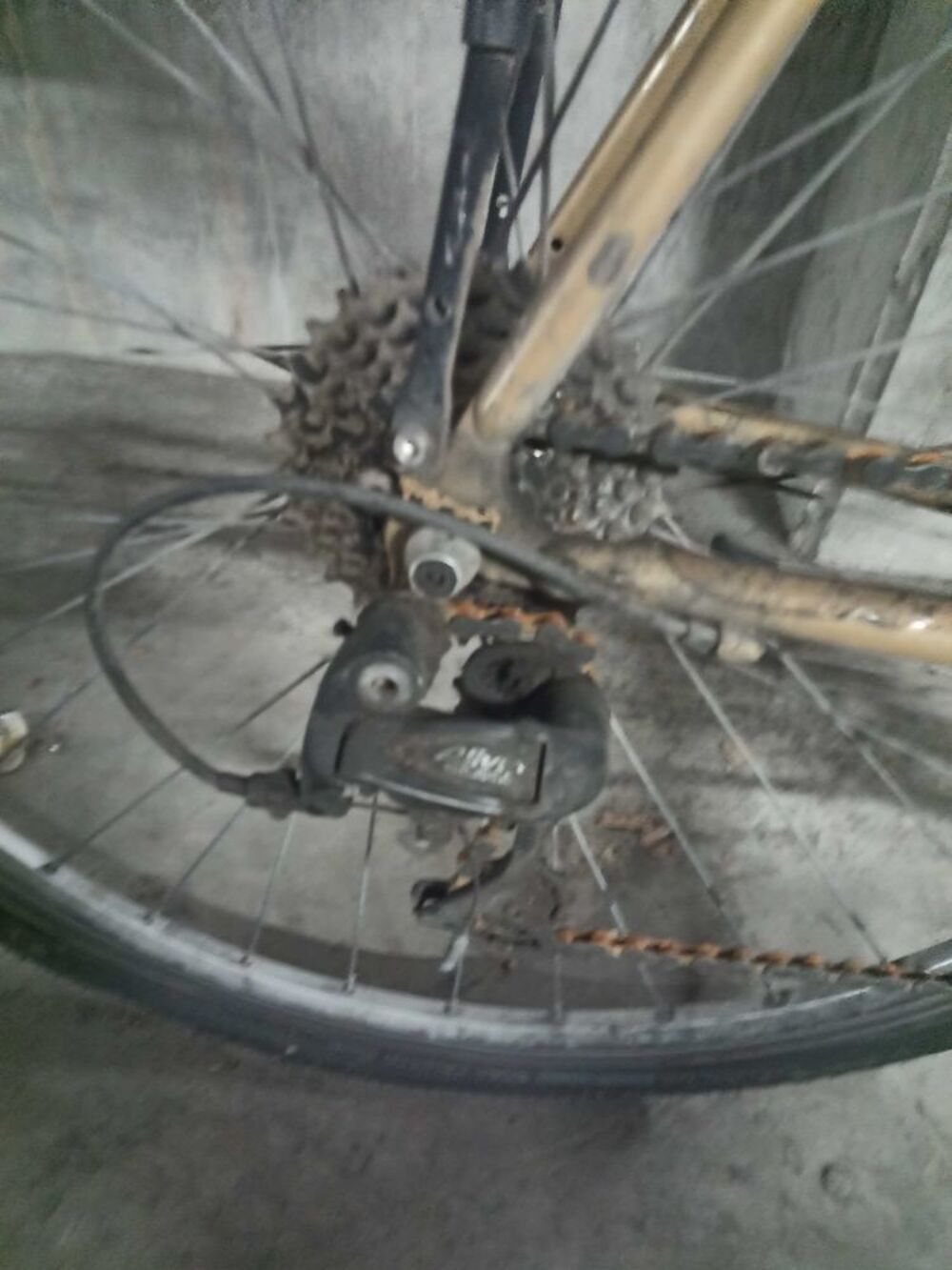 vtc Riverside 5.2 Vélos