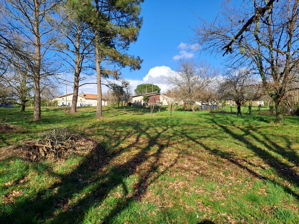 Vente Terrain TERRAIN CONSTRUCTIBLE GRANDE SURFACE Lagorce