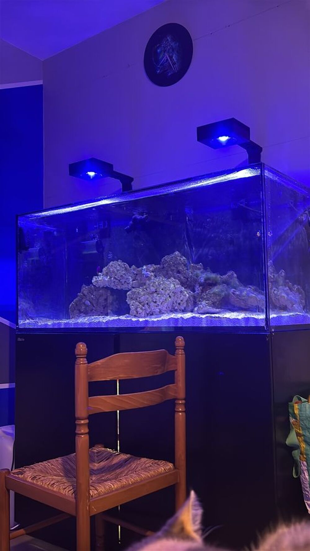   Aquarium red sea 350l complet 
