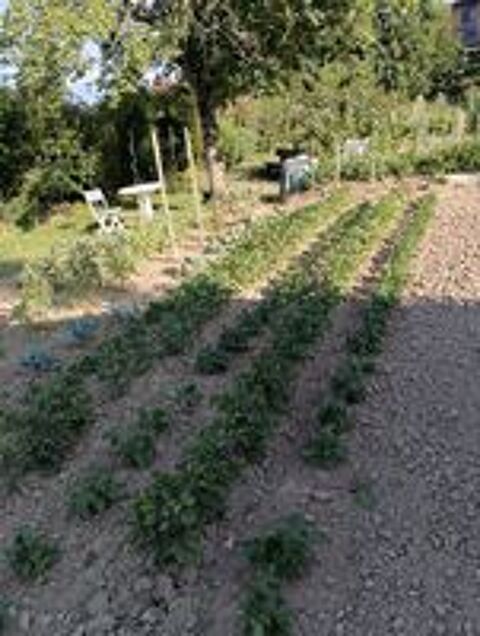   Bonjour je suis un jardin  