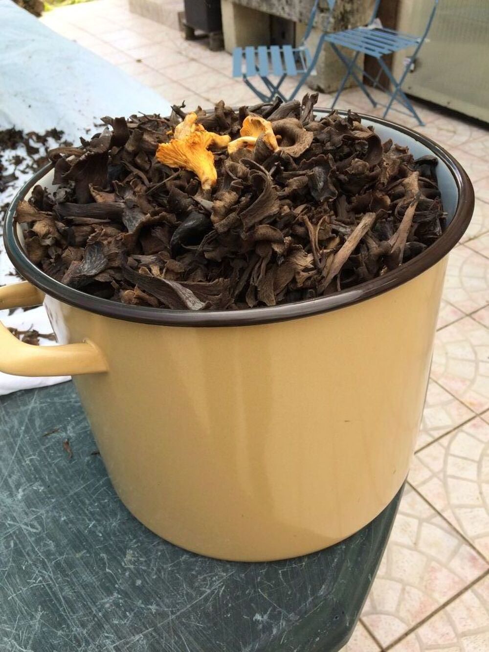 TROMPETTES DE LA MORT SECHEES cueillies cet automne Cuisine
