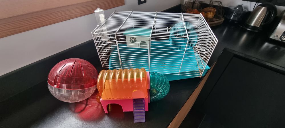   CAGE à amsters 