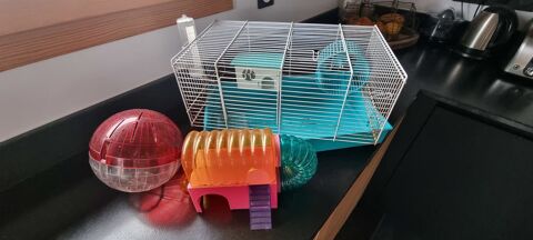 CAGE à amsters 15 38250 Villard-de-lans