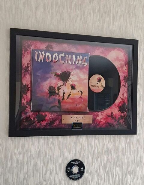 Superbe cadre décoratif dédié au groupe Indochine ? 50 × 70  Quimper (29)