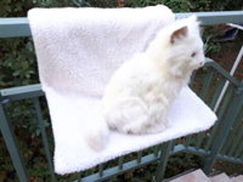   Hamac suspendu ou lit radiateur pour chat  