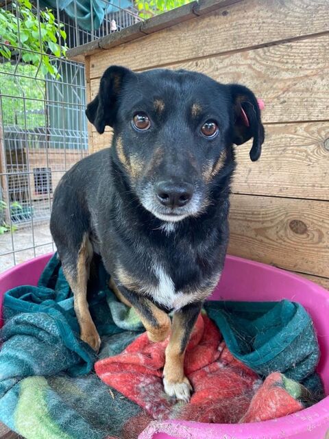 DANNA   AU REFUGE EN UKRAINE 0 75018 Paris