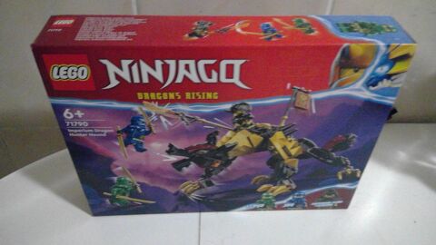 24 Chien Combat Dragon Imperium lego (Ninjago 71790) 24 Pau (64)