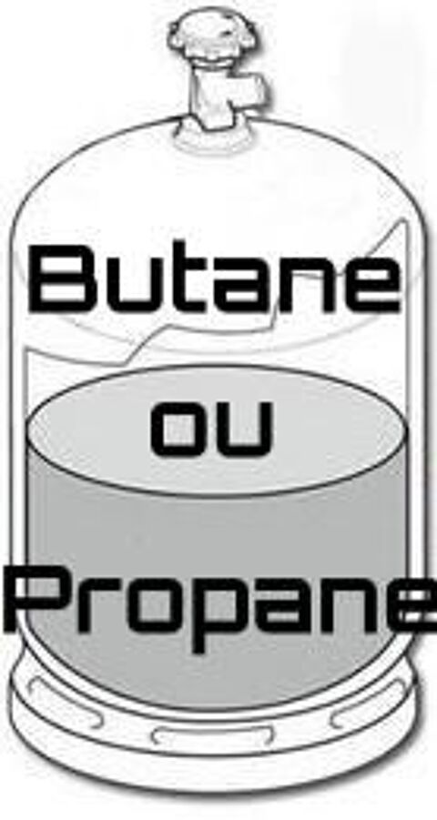Bouteilles  vides de gaz (consignées 35€) 10 Pontoise (95)