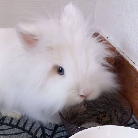 YOUKI 130 07130 Saint-p�ray