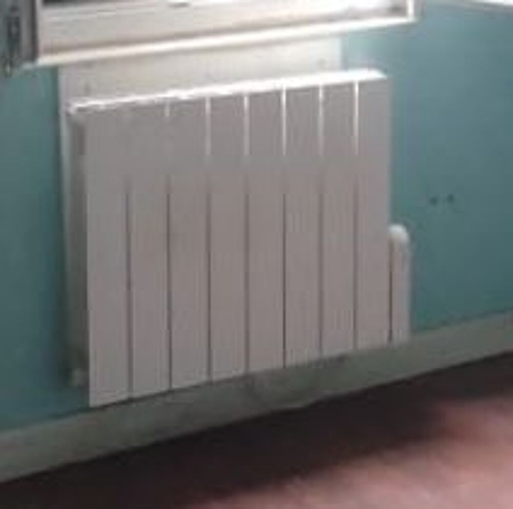 Po&ecirc;les et radiateurs Electroménager