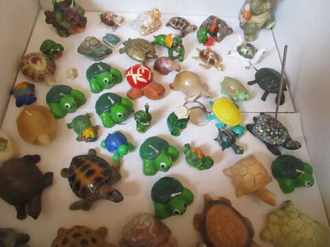 Collection de tortues 1 Colomiers (31)