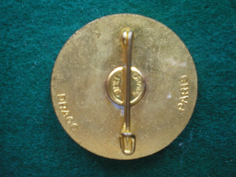 Insigne du G&eacute;nie - 49&deg; Bataillon du G&eacute;nie. 