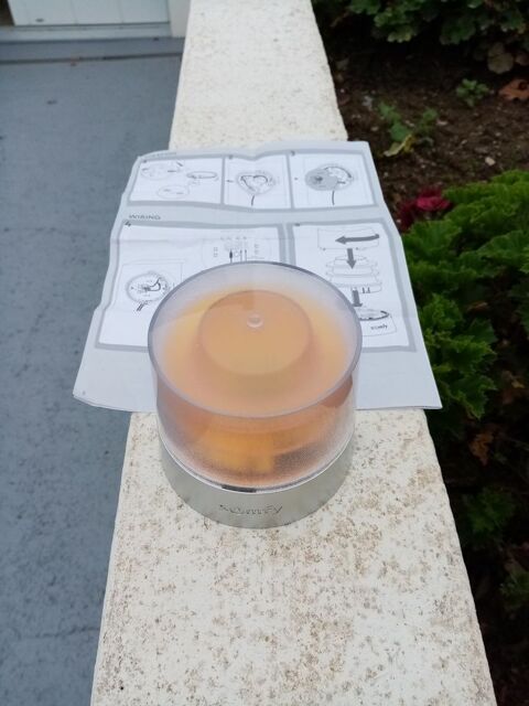 Feu orange led master pro SOMFY antenne RTS, portail ext
65 Larmor-Plage (56)