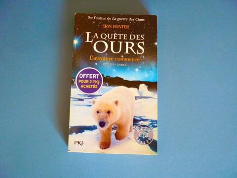 Livre enfant la qute des ours cycle 1 Livre 1 TBE 2 Brienne-le-Chteau (10)