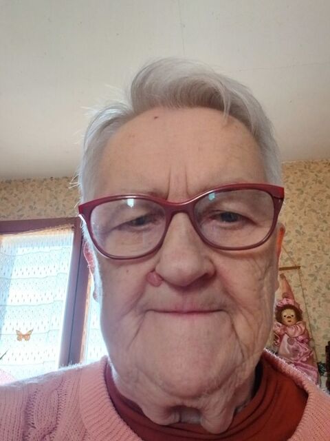 J ai besoin d une personne  pour service pour venir en aide 0 41130 Selles-sur-cher