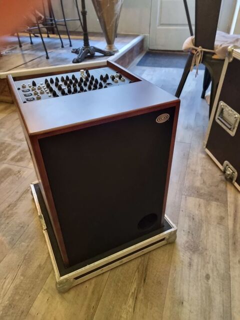 Enceinte Schertler Roy x 2000 Dinan (22)