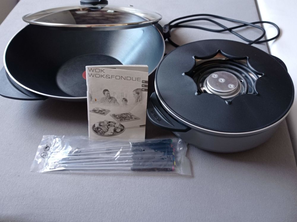 WOK et FONDUE Electroménager